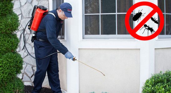 Adapazarı Böcek ve Haşere İlaçlama böcek ilaçlama ve haşere kontrolü — ilaclama-tr.com